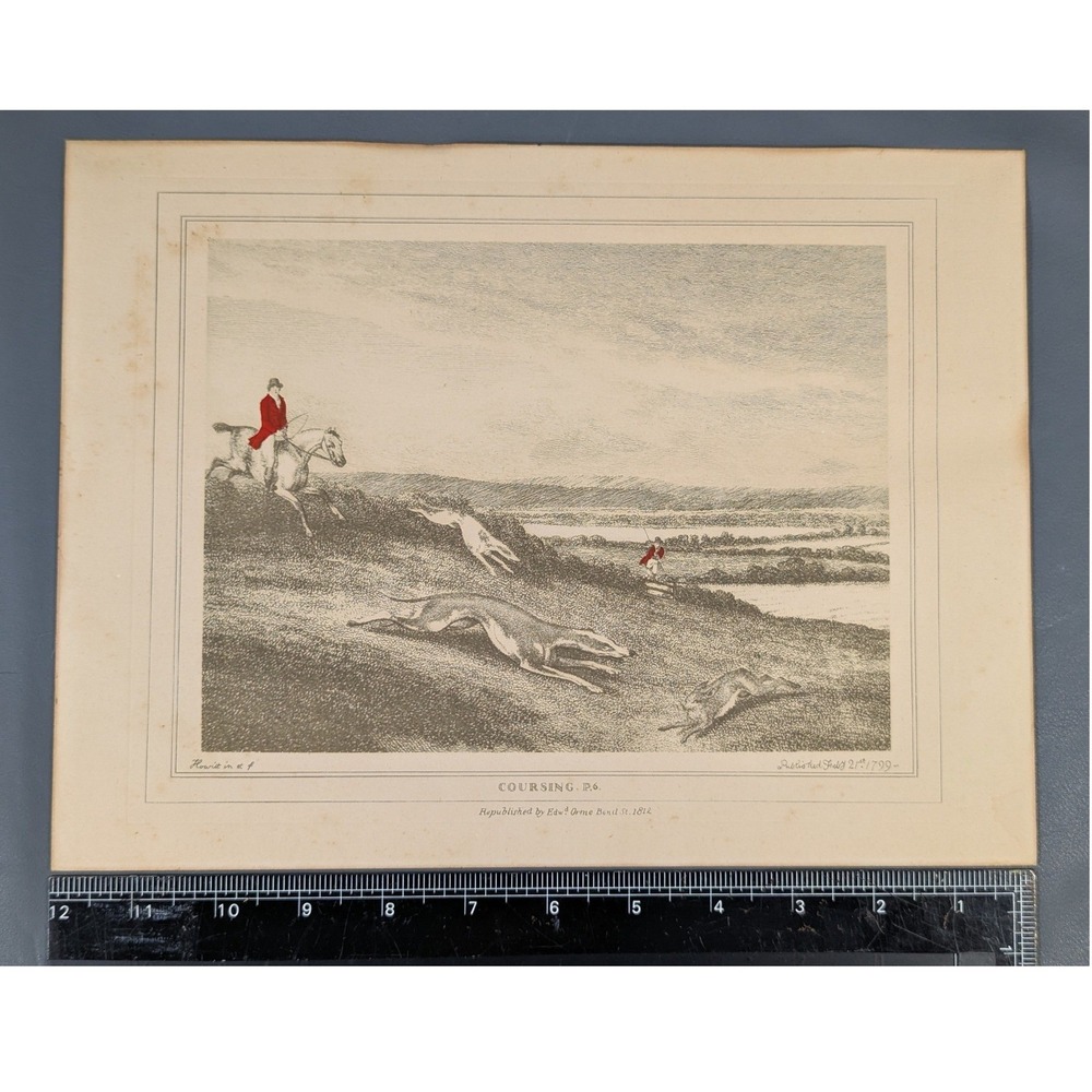 Samuel Howitt Coursing P.6 1812 Edward Orme Hand Colored Etching Fox Hunt Art